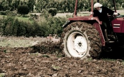 Câmara aprova MP que dispensa emplacamento de máquinas agrícolas