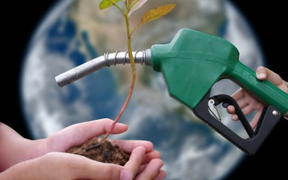 Reduzir o consumo de combustível faz bem ao bolso e ao meio ambiente