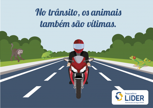 quinze-animais-morrem-por-segundo-atropelados-em-estradas-brasileiras