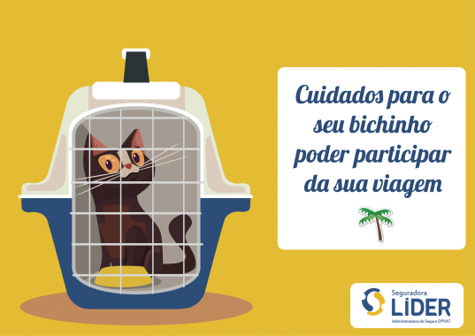 vai-viajar-com-seu-pet-se-liga-nas-dicas-de-seguranca