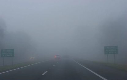 Dirigir sob neblina: veja o que se deve e o que não se deve fazer